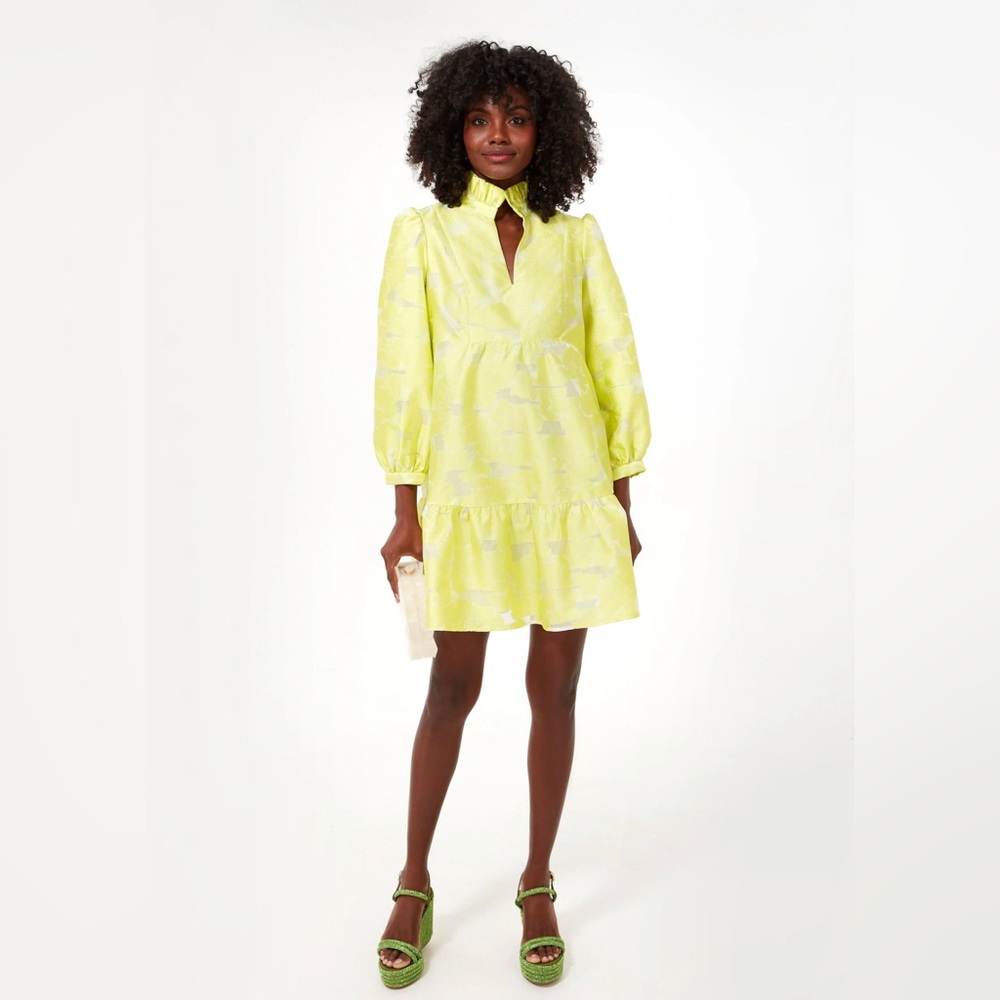 Citron Fil Coupe Palmerston Dress
TUCKERNUCK